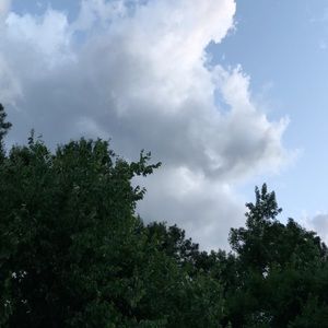 Meet your Posher, Sean